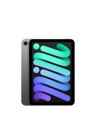 iPad Mini 7 512GB Gray 5G VN/A