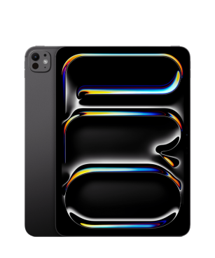 iPad Pro M5 11inch 256GB Gray 5G LL/A